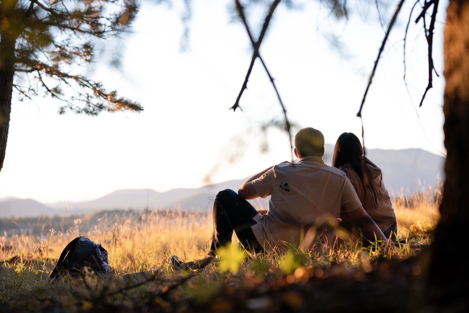 Two people sit close together on a grassy hillside under pine branches, gazing at distant mountains in warm golden light.