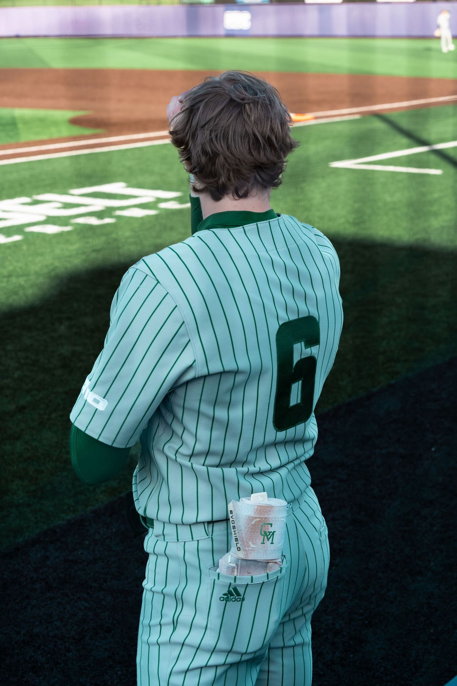 Baseball player in pinstriped uniform viewed from behind on field.
