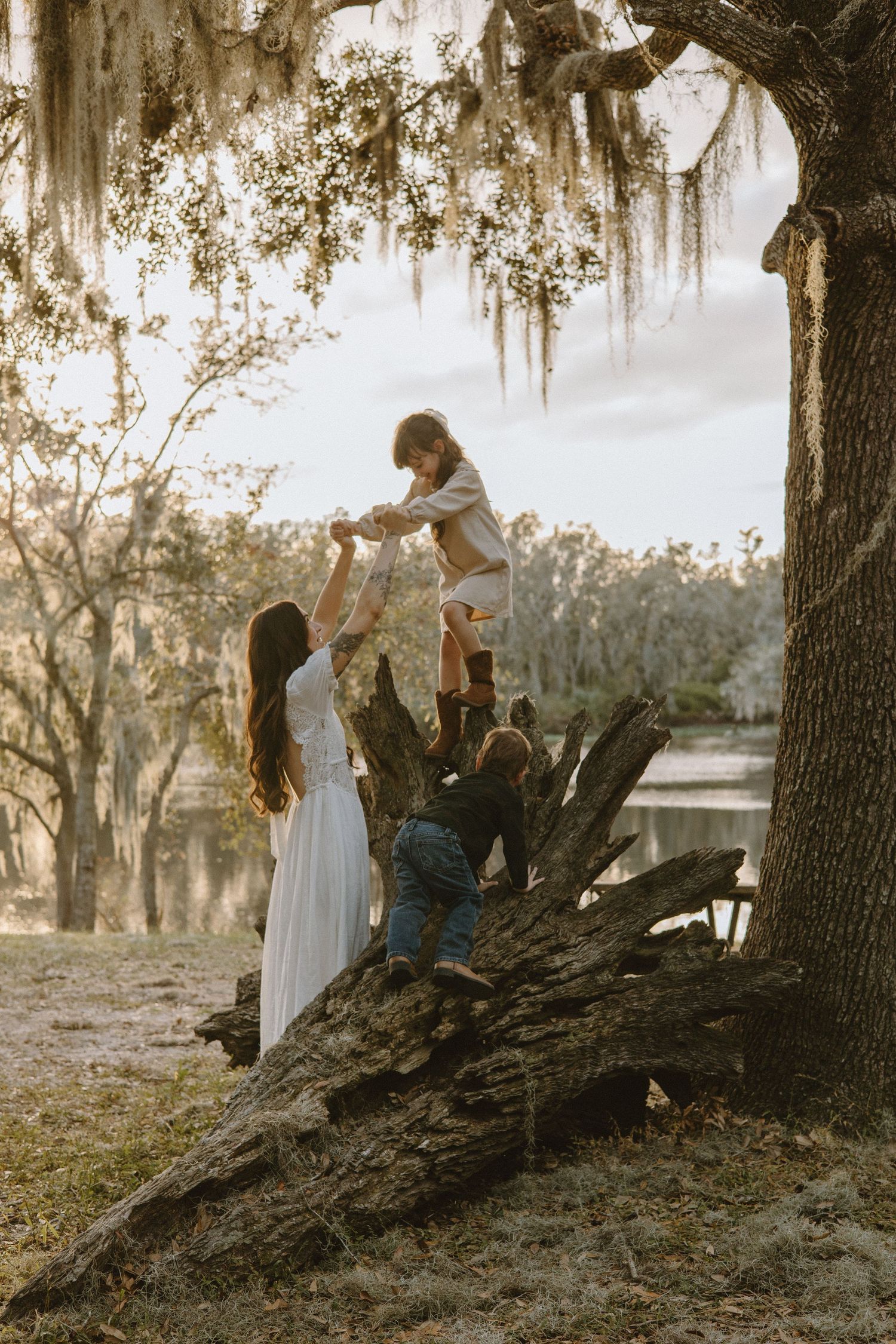 People spending time together on a fallen log under moss-covered trees.