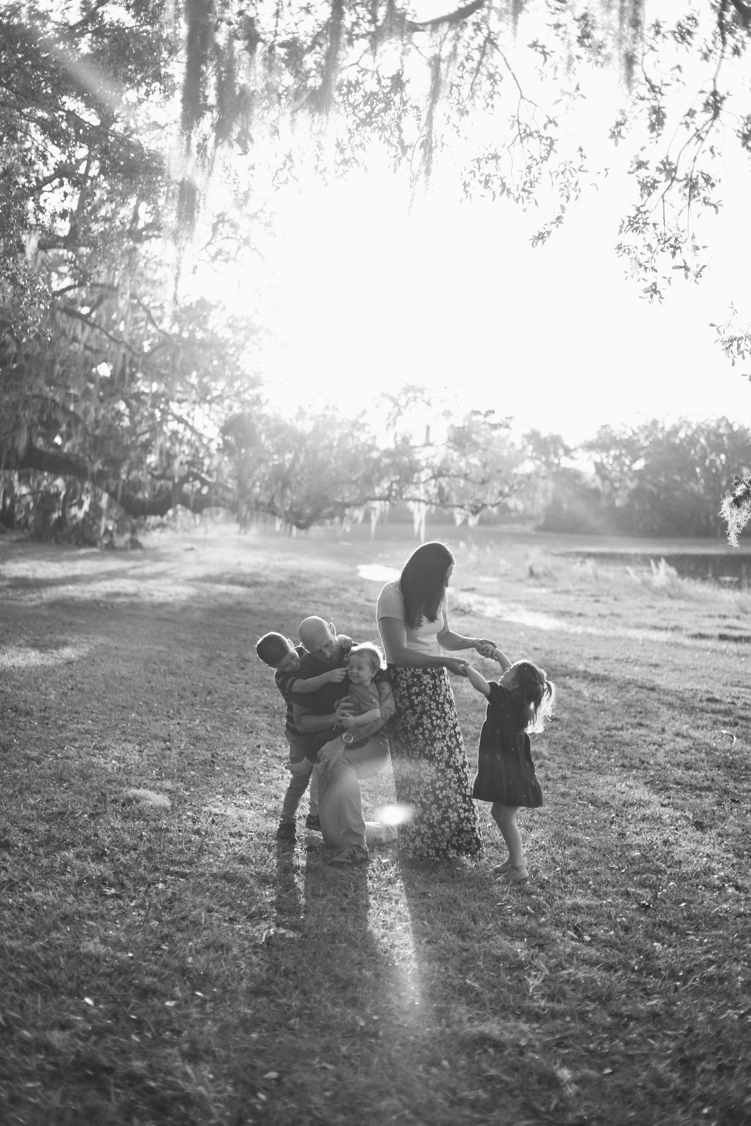 Children playing under moss-draped trees in magical sunlit setting.