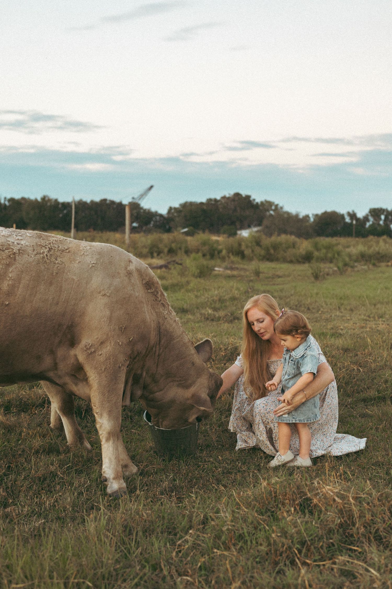 A person in a blue dress sits in a grassy field beside a brown donkey on a sunny afternoon.