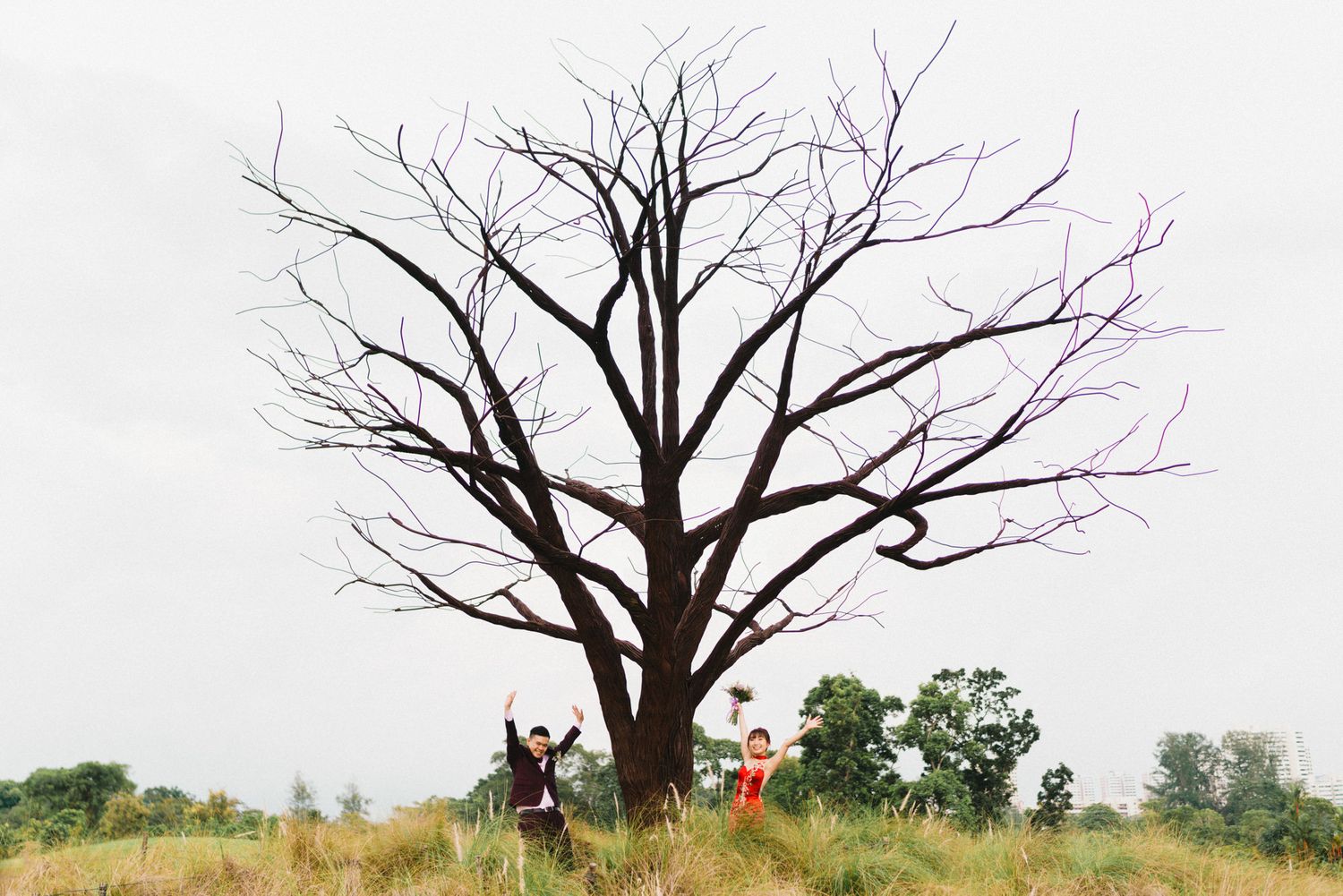 Two people posing near a large bare dead tree in an open grassy field with green trees in the background.