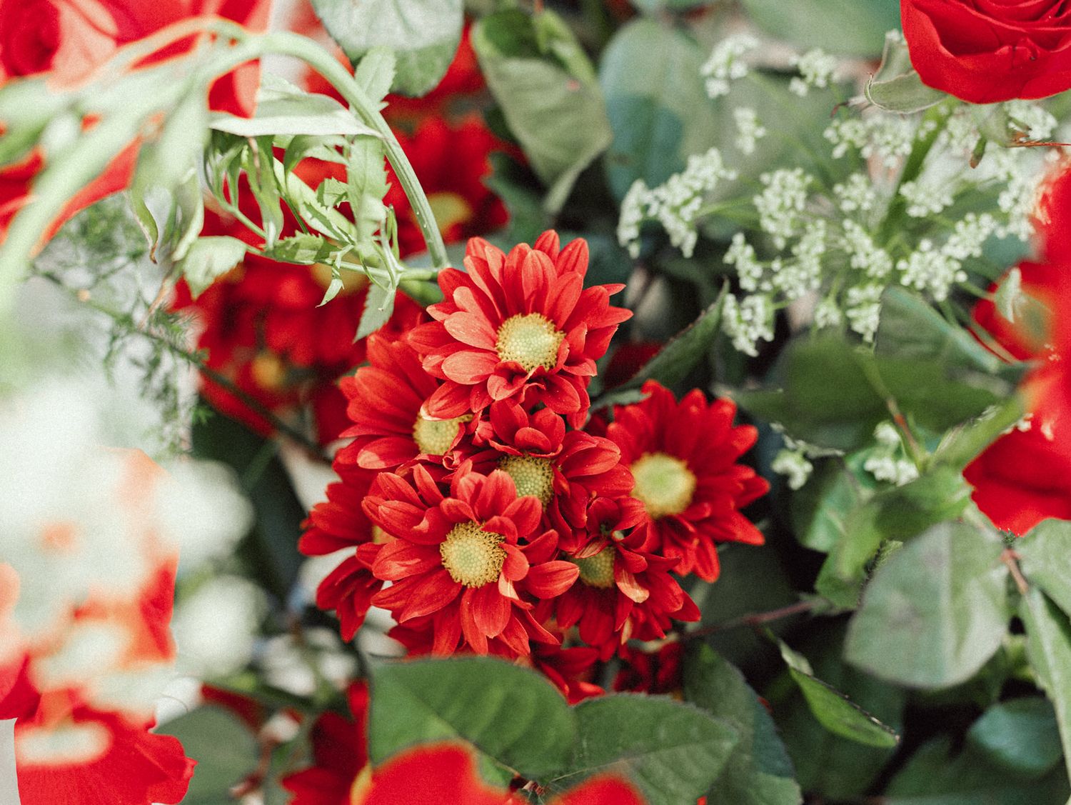 Vibrant red chrysanthemum flowers with eucalyptus greenery arranged in a decorative floral display.