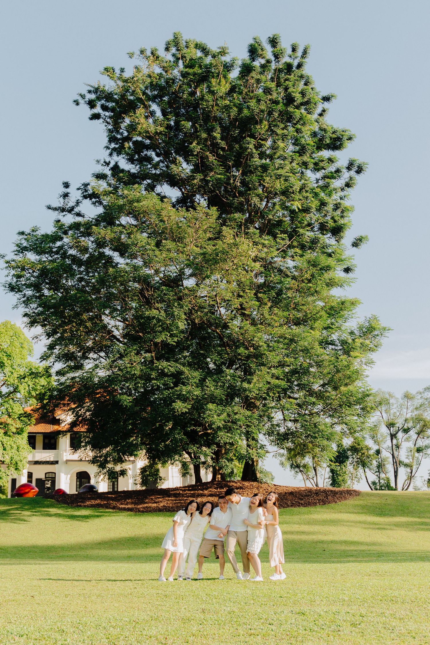 A group of people gather on a lush green lawn under tall trees on a sunny day.