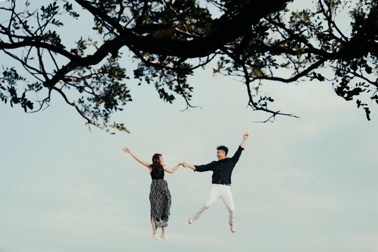 People enjoying a playful moment under sprawling tree branches against a light blue sky.