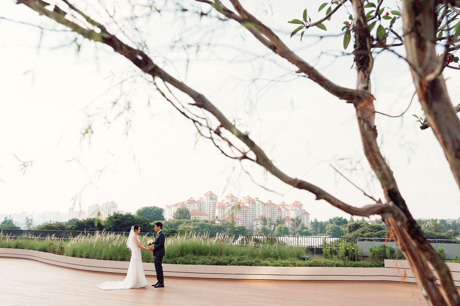Scenic outdoor wedding venue with natural landscaping and curved walkway.