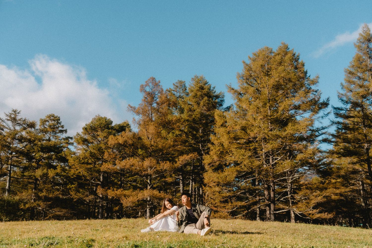 A couple enjoying a sunny day in a grassy field with tall pine trees.