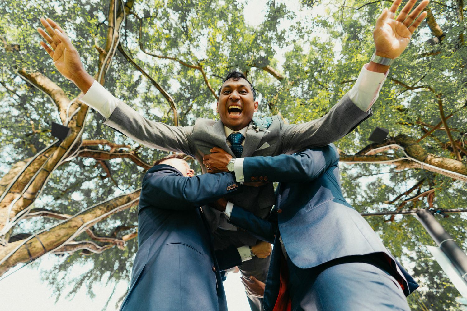 Groom in blue suit laughing with arms raised being lifted by groomsmen outdoors under trees.
