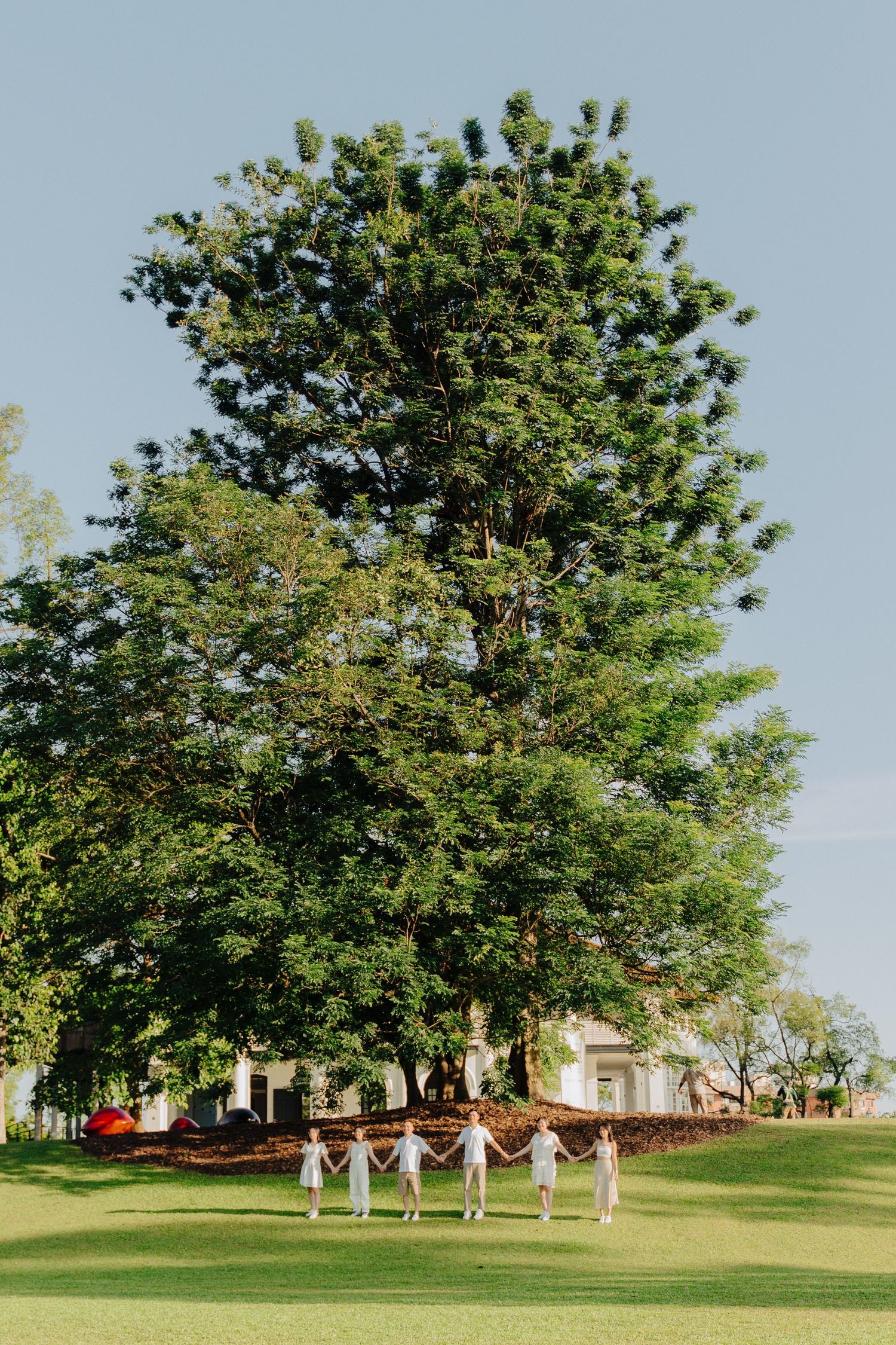 A group walks hand in hand across a green lawn beneath a towering tree on a sunny day.
