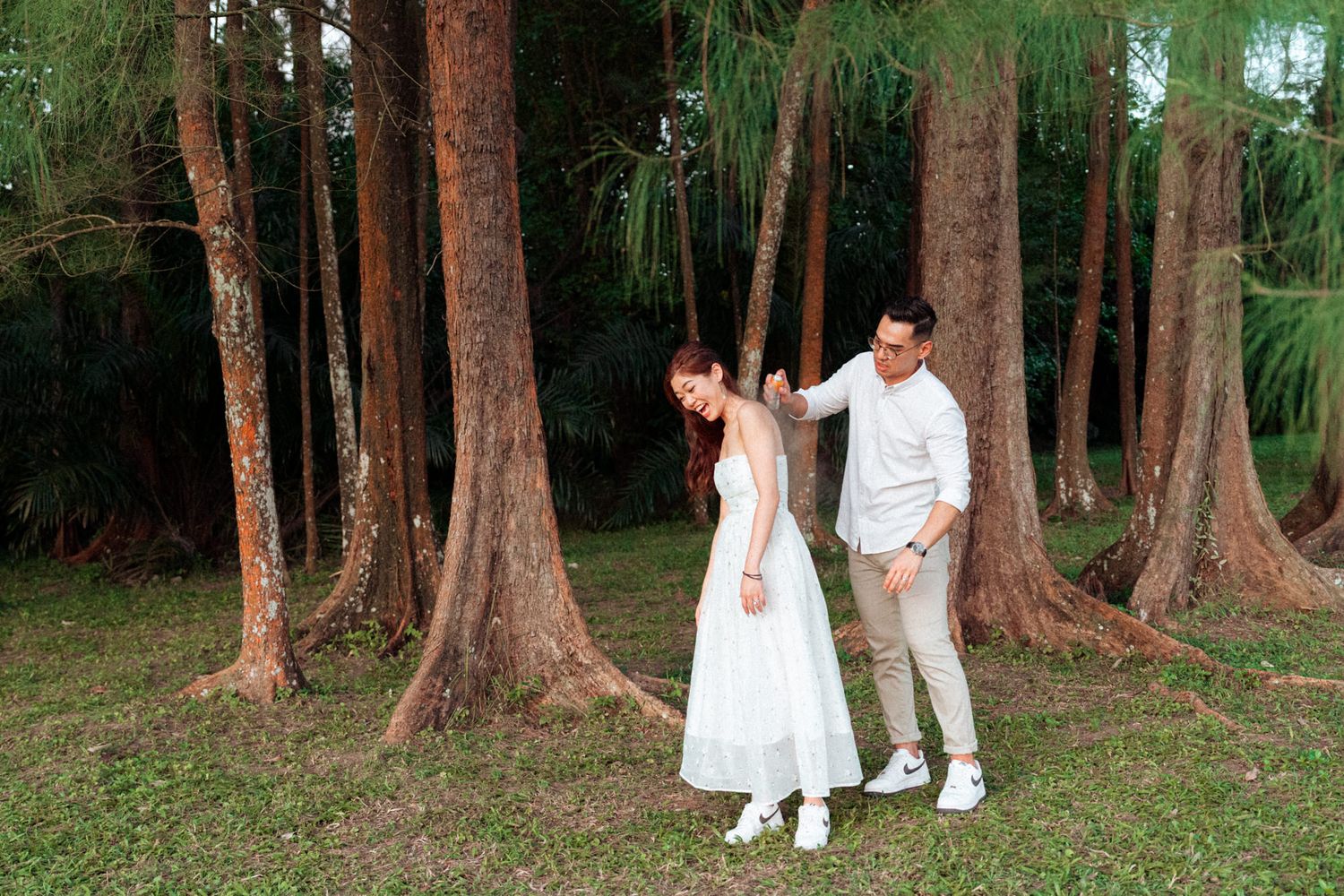 A romantic photoshoot featuring a couple in white outfits among majestic pine trees.