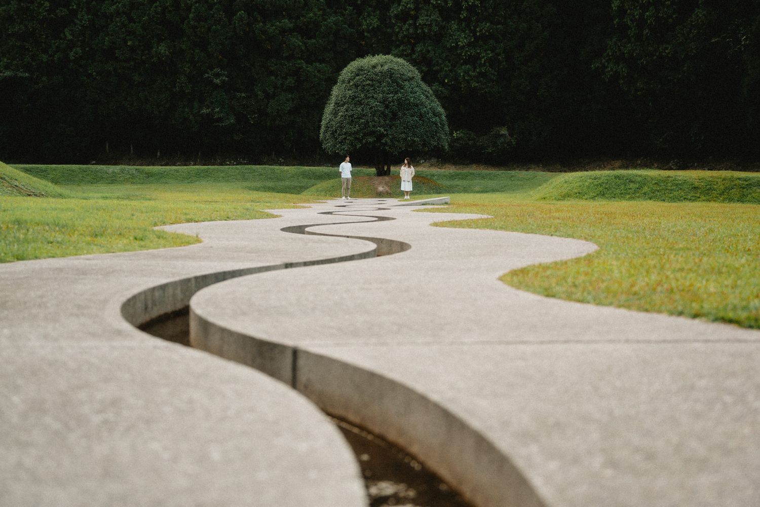 Curved concrete pathway design in a peaceful park setting.