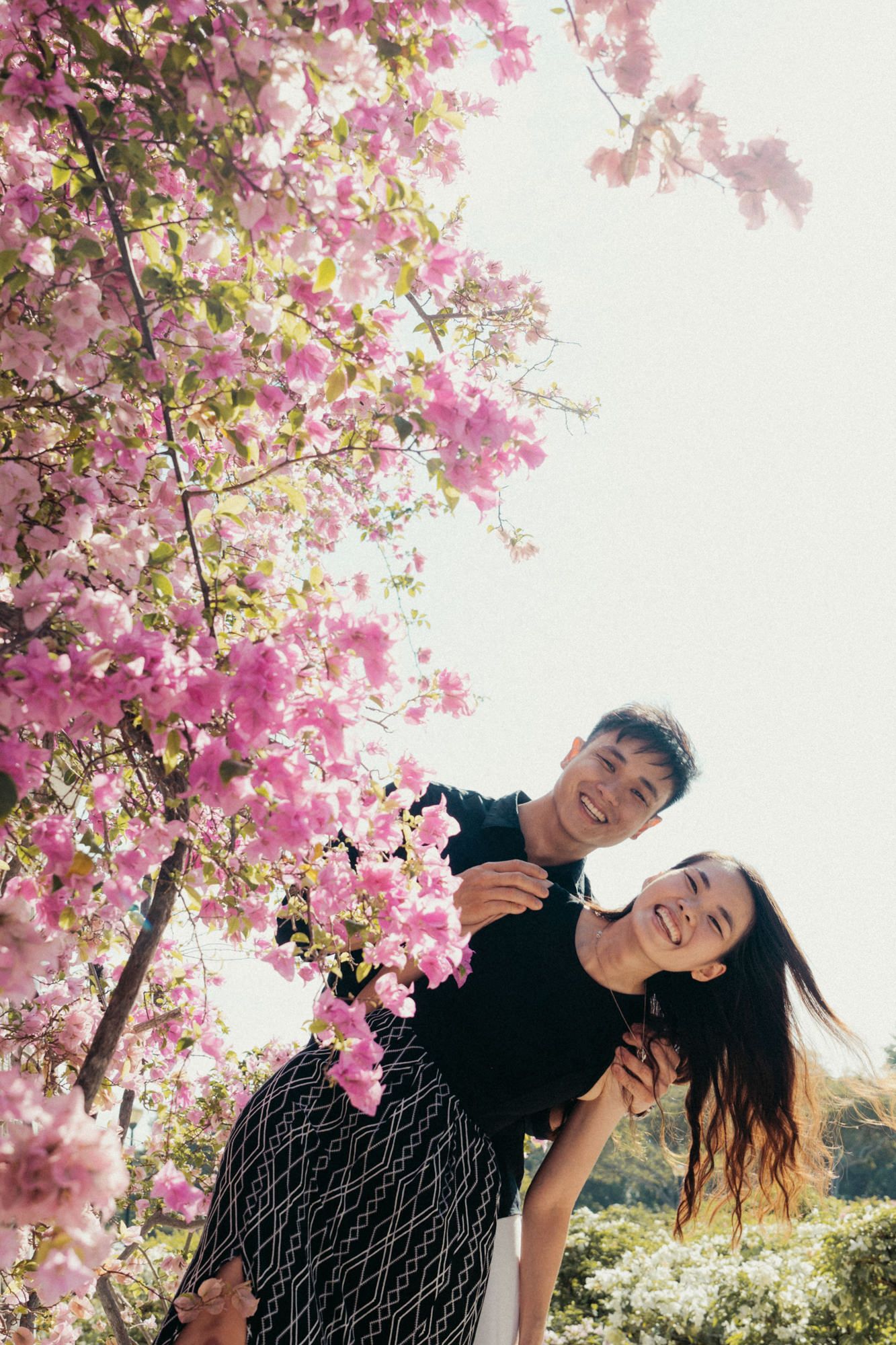 Beautiful pink cherry blossoms frame a joyful moment beneath the blooming tree.