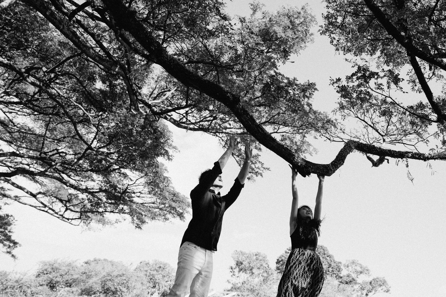 Silhouettes of figures walking and posing beneath tall trees against a bright sky.
