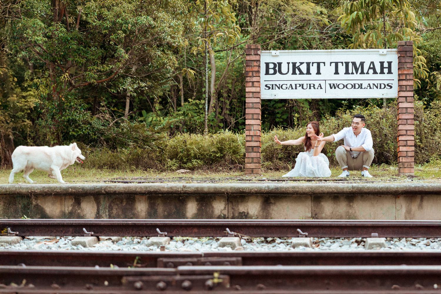 Train station platform sign reading Bukit Timah with lush greenery in the background.