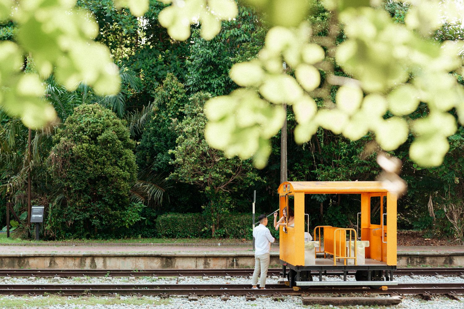 Train tracks through green foliage with an orange rail car visible in the distance.