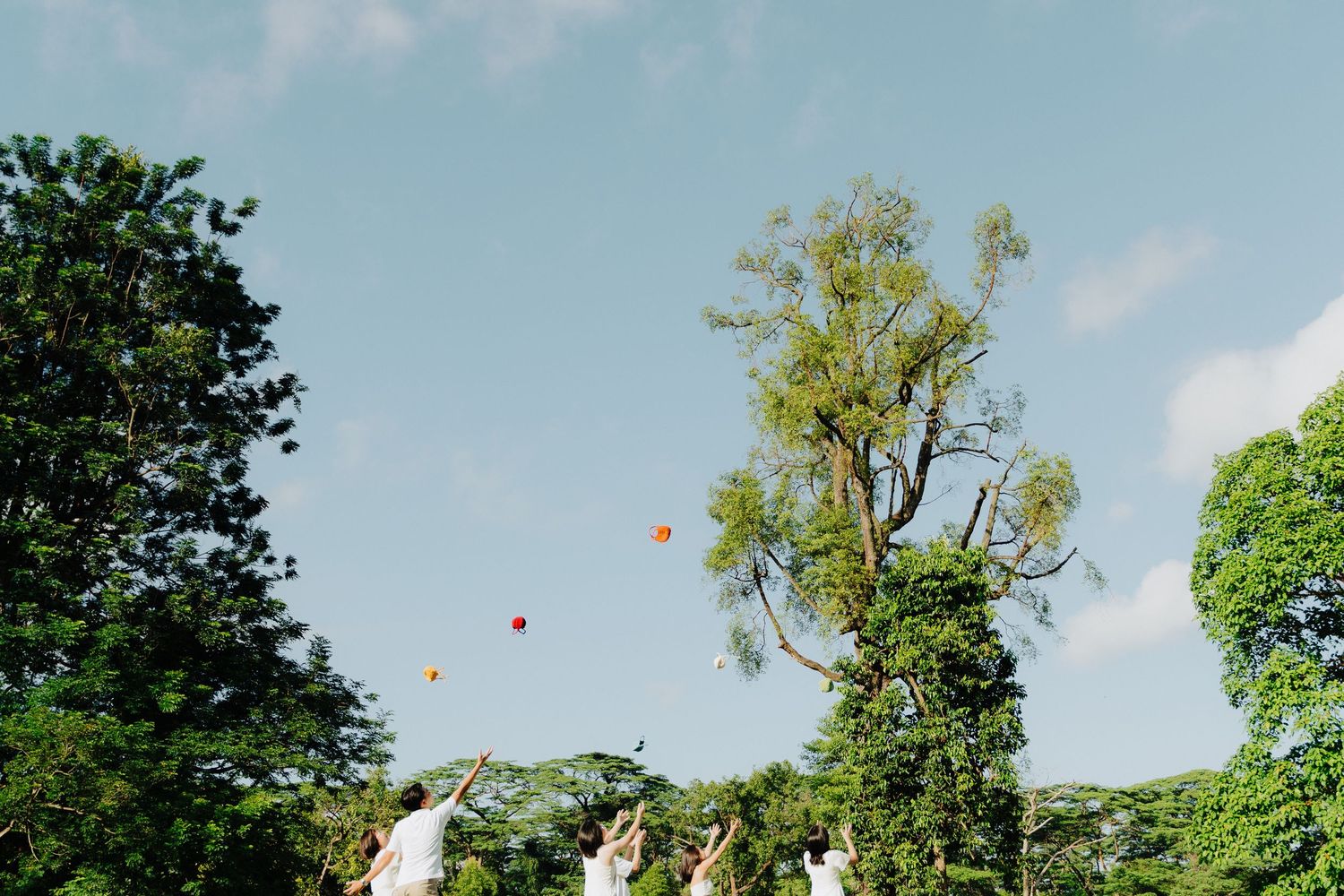 Orange balloons float into a blue sky above green trees during a festive outdoor celebration.