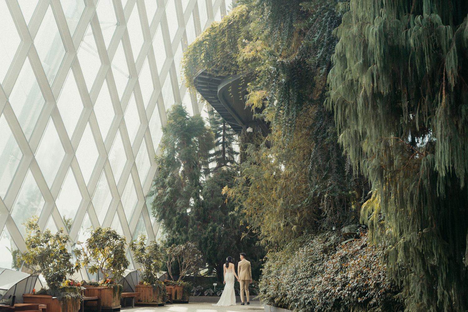 Couple in wedding attire standing inside a stunning greenhouse with lush greenery and geometric glass walls.