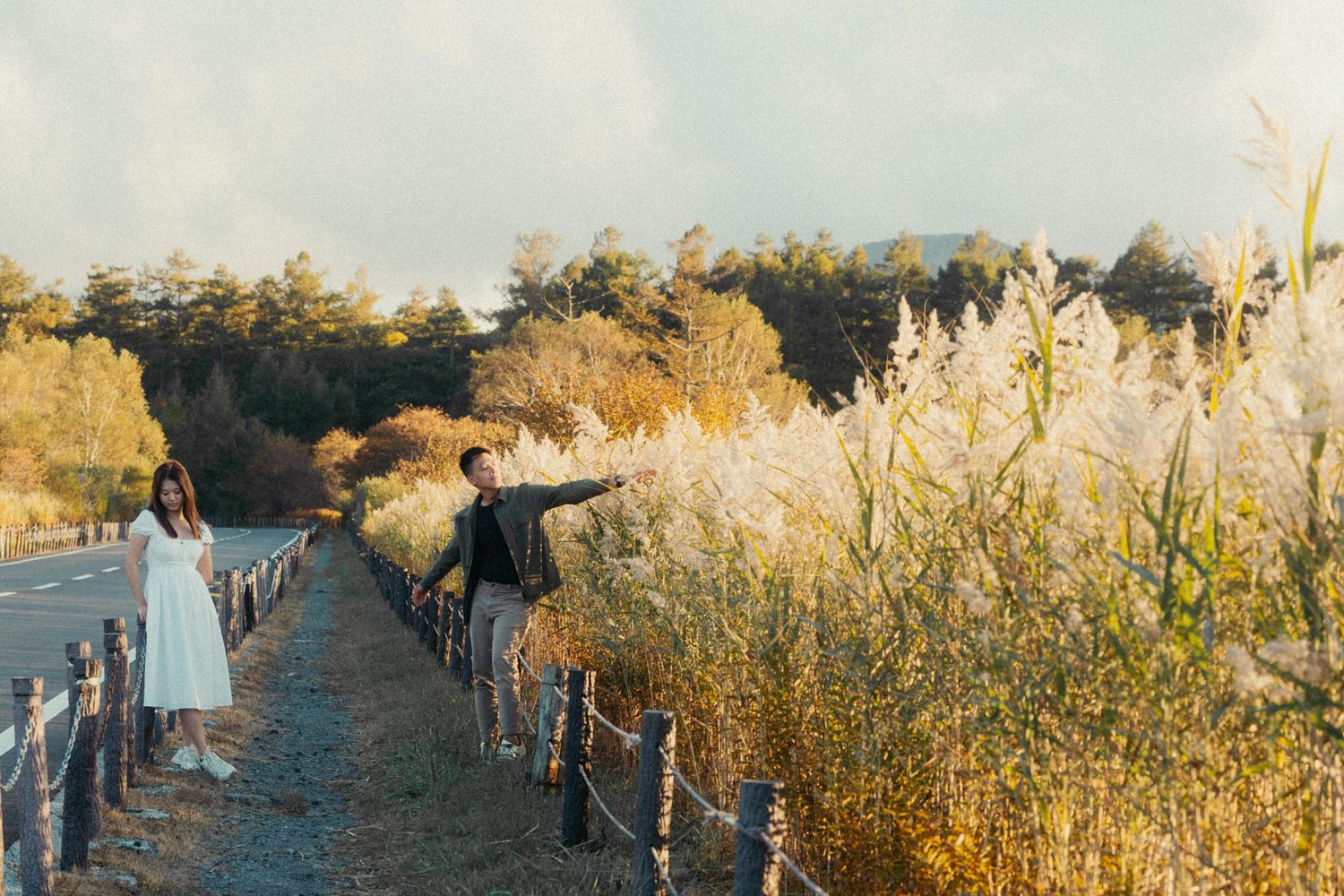 A winding path through tall golden grass and reeds at sunset creates a peaceful autumn landscape.