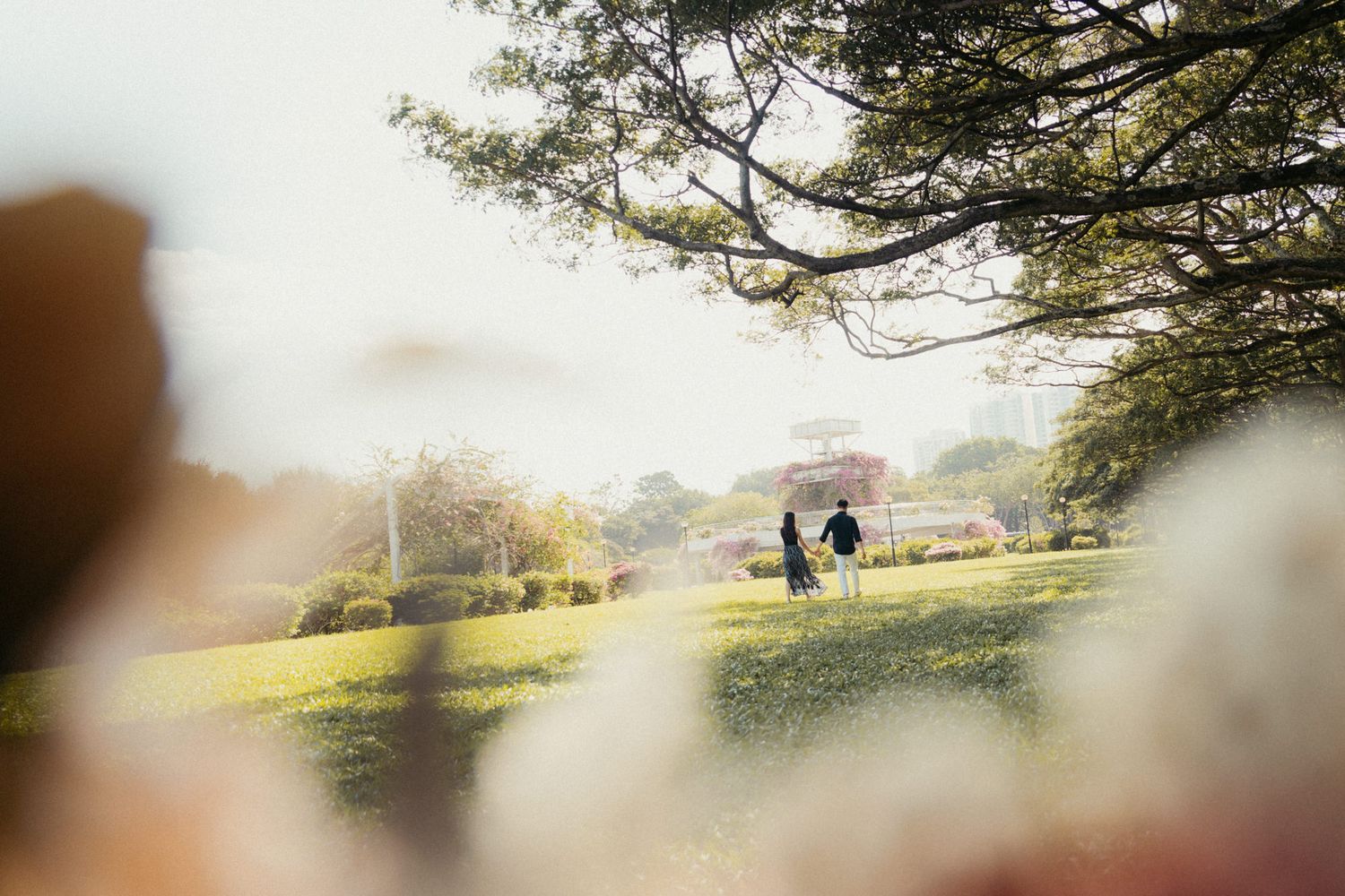 Scenic landscape view with soft focus foreground and distant figures walking in a park.