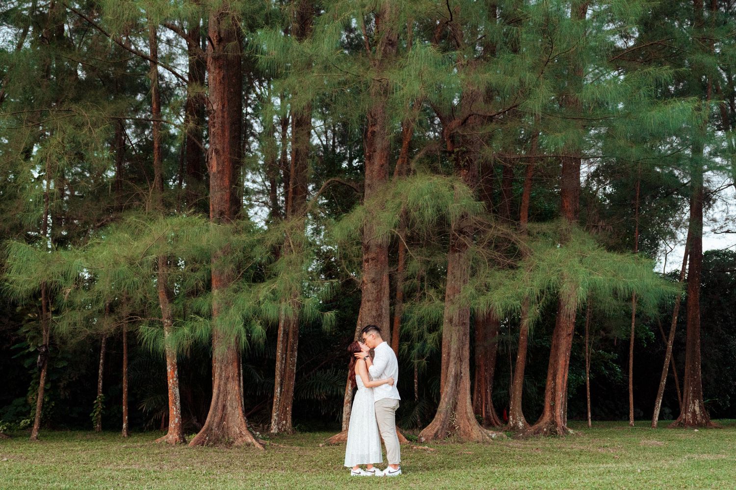 Two people pose playfully between large tree trunks in a wooded area.