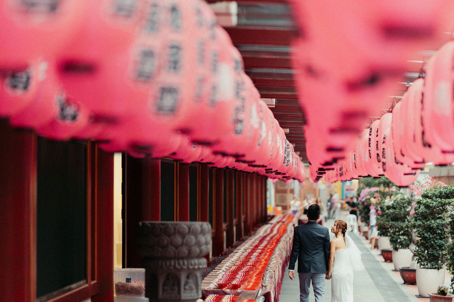 A corridor lined with vibrant red Chinese lanterns hanging overhead at a traditional Asian temple.