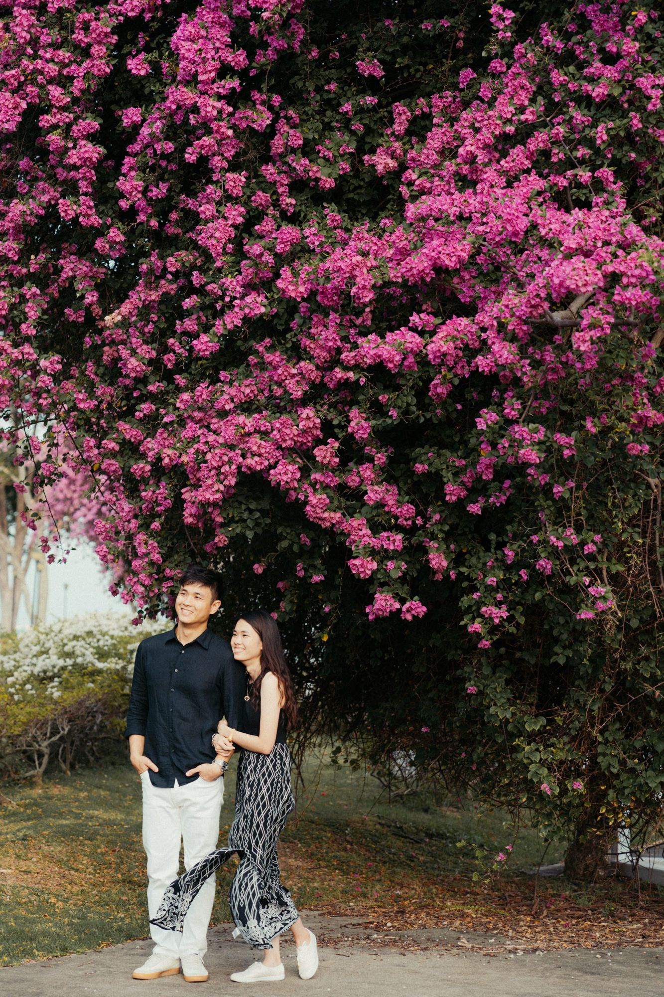 A couple poses against a vibrant wall of pink bougainvillea flowers.