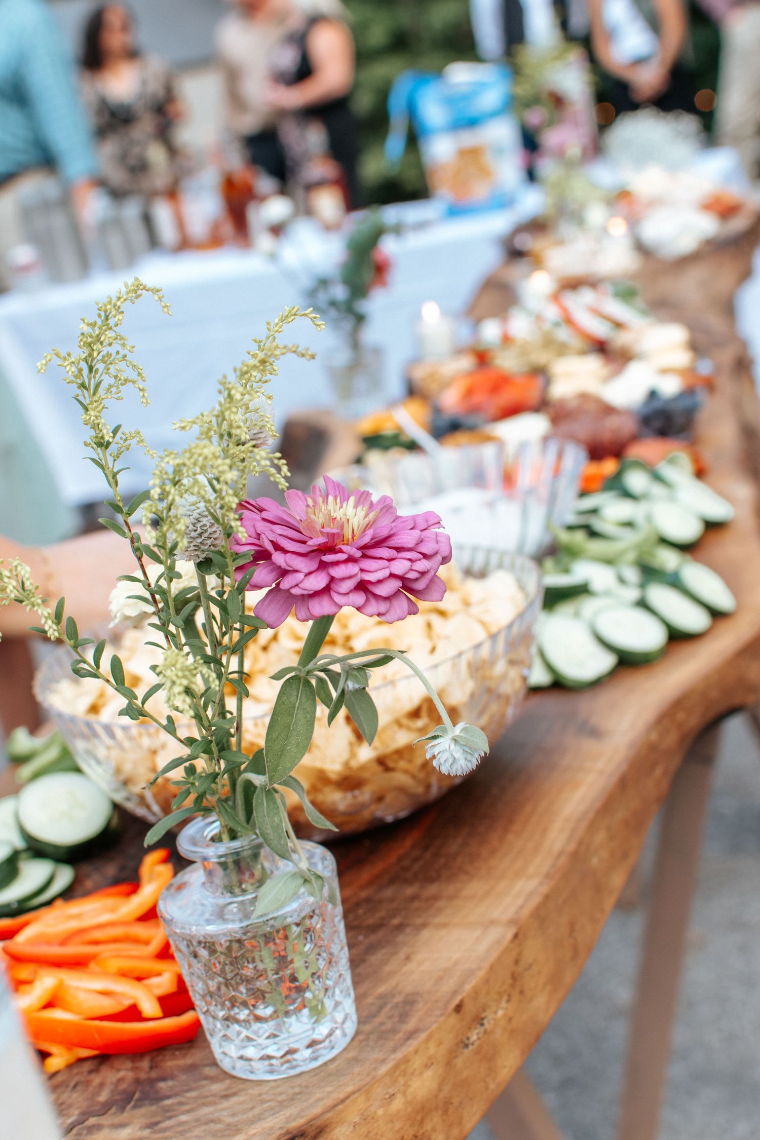 Clear Spring MD Wedding