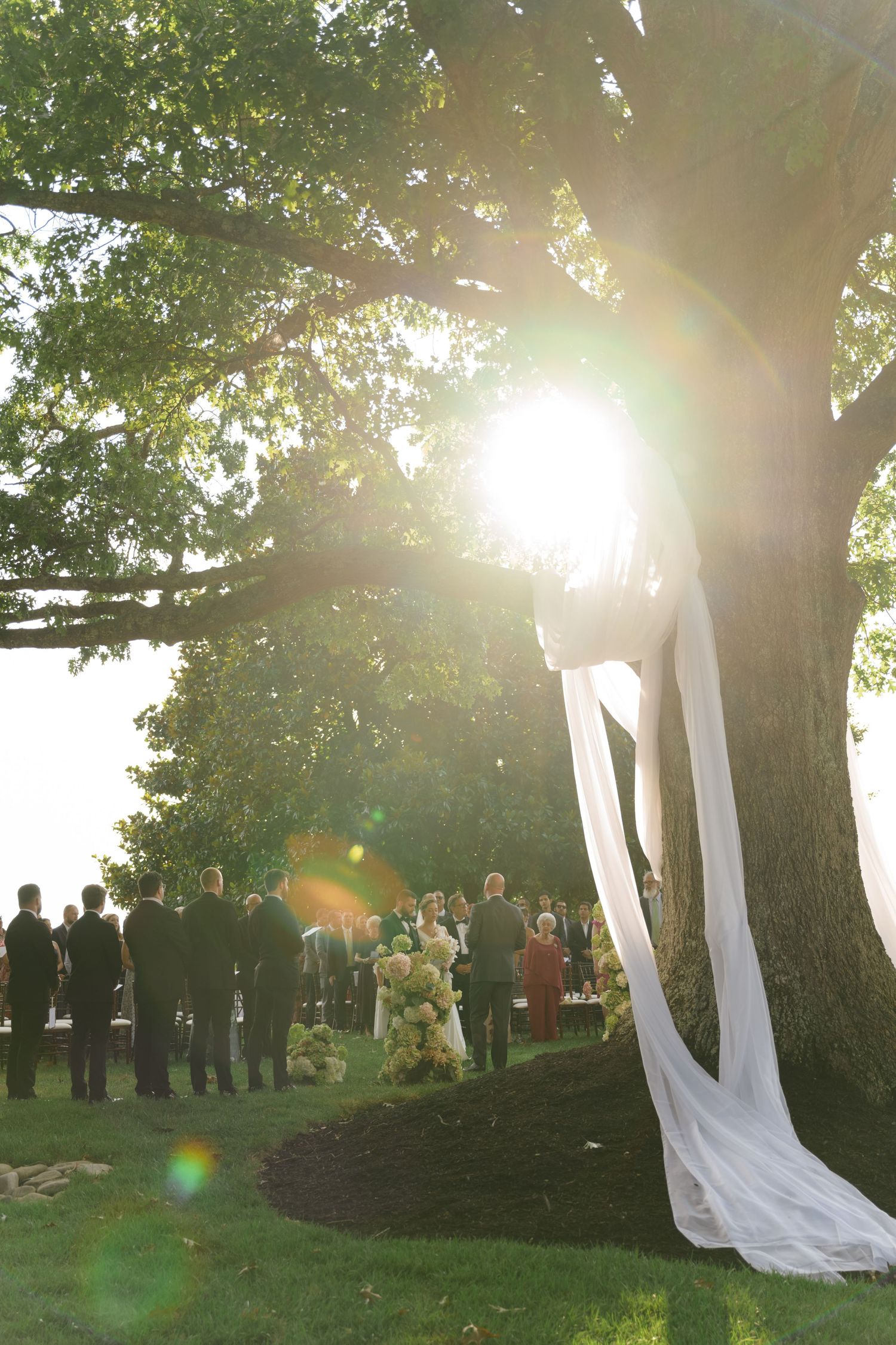 Outdoor wedding ceremony setup with flowing white fabric draped between trees at sunset.