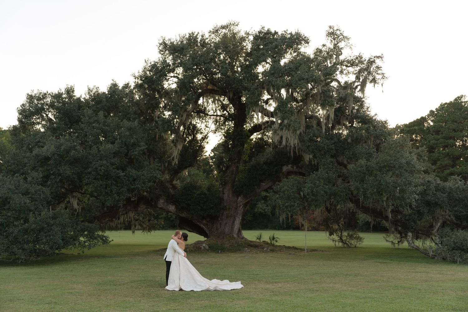 Wide panoramic view of wedding venue grounds with majestic oak trees at sunset.