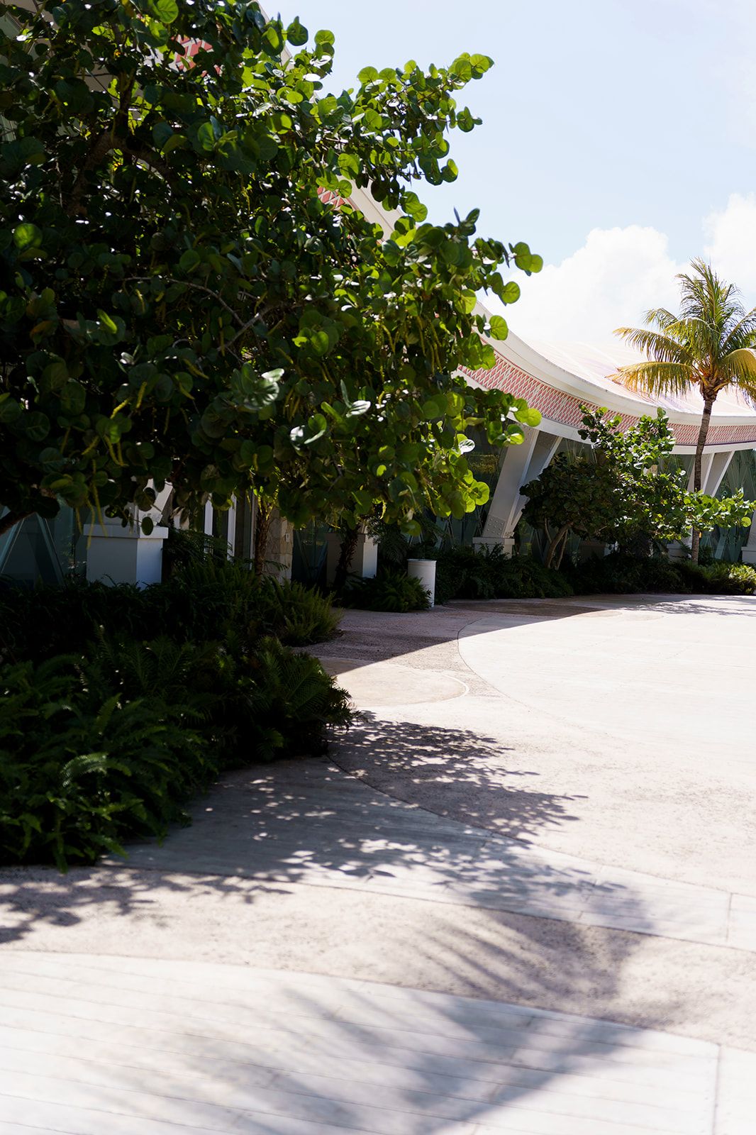 Sunlit tropical resort pathway with lush green trees, palm shadow on pavement, and white building with curved roof.