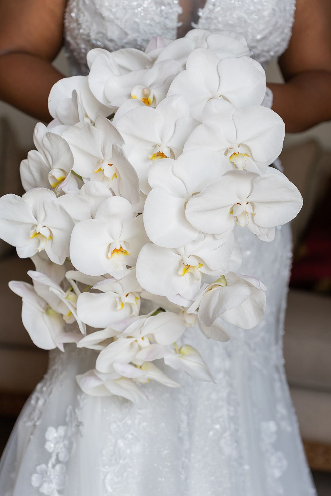 Bride in lace wedding dress holding a cascading bouquet of white phalaenopsis orchids on her wedding day.