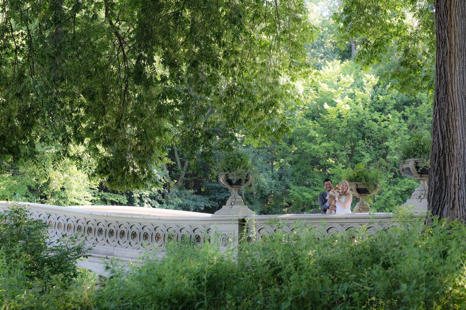 Couple posing on Bow Bridge in Central Park, surrounded by lush green trees in summer.