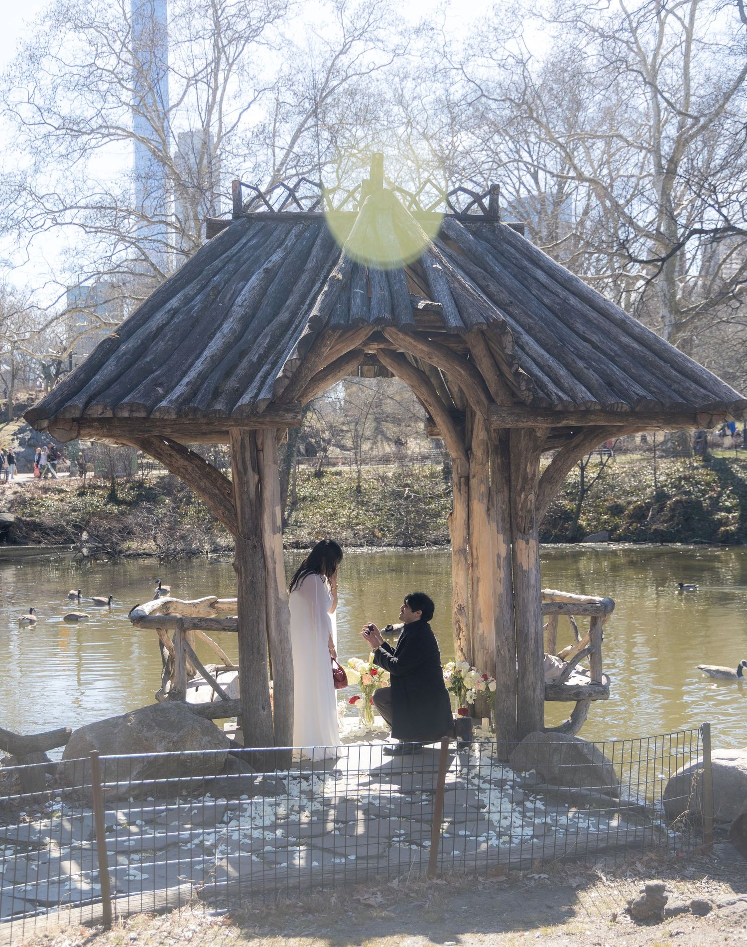 A romantic marriage proposal under a rustic wooden gazebo by a pond in Central Park, New York City.