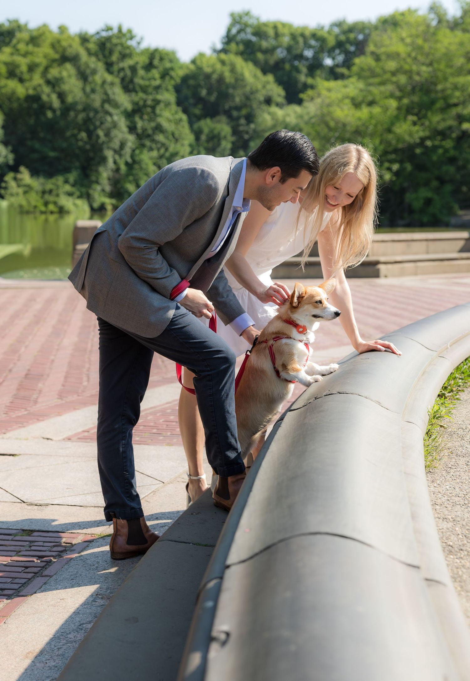 Couple petting a Corgi dog on a bridge railing in Central Park on a sunny day.