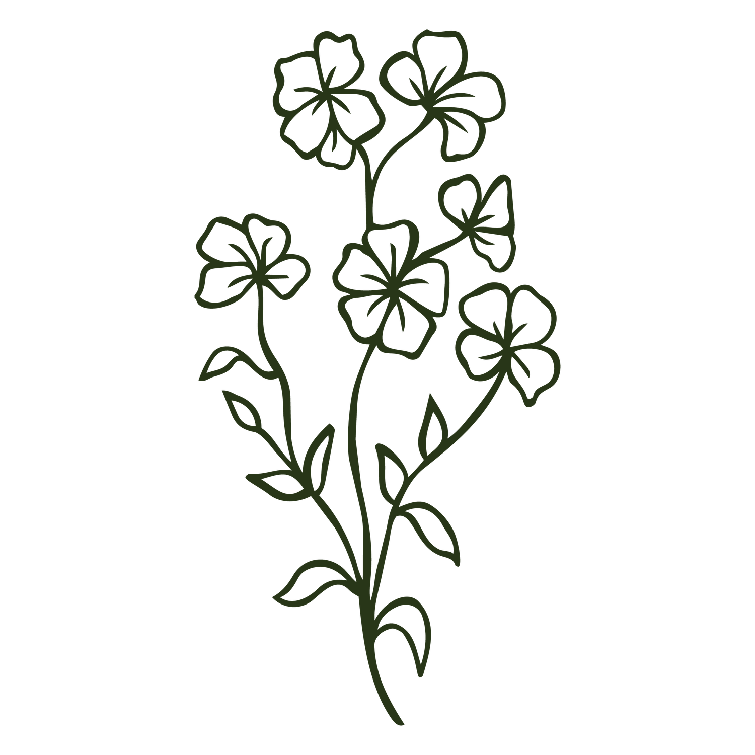 Dark green botanical line art illustration of a wildflower stem with five blooms and leaves.