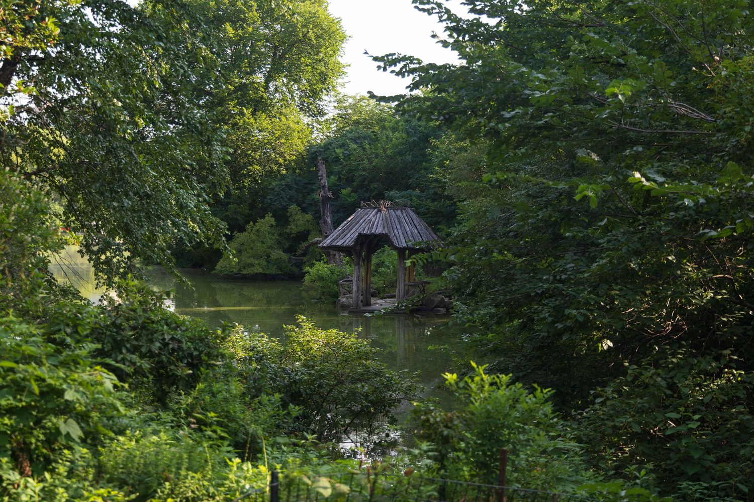 A rustic wooden gazebo nestled among lush green trees beside a tranquil pond in a serene garden setting.