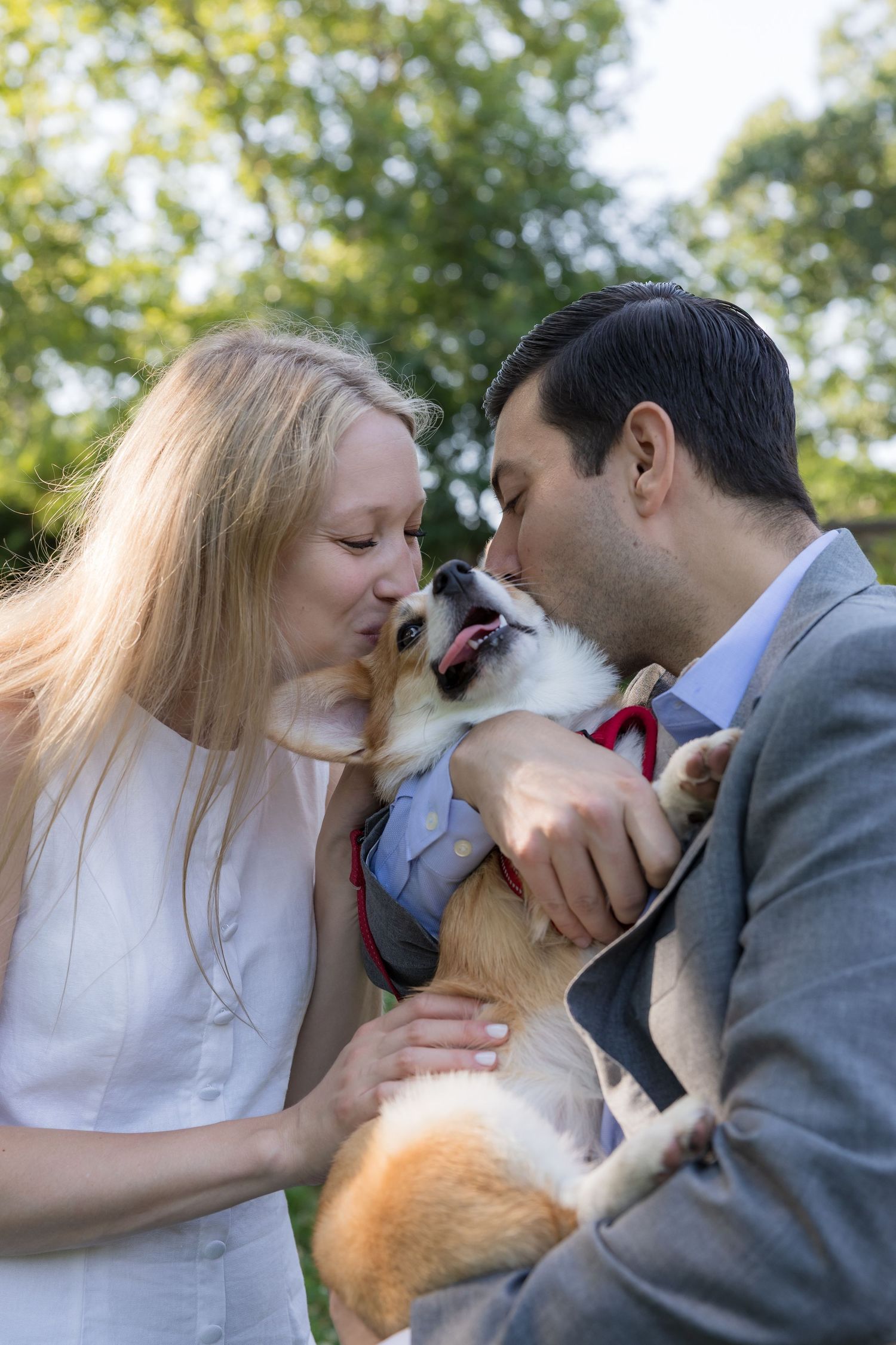 Couple in formal attire kissing their Corgi dog wearing a suit and red tie outdoors with green trees.