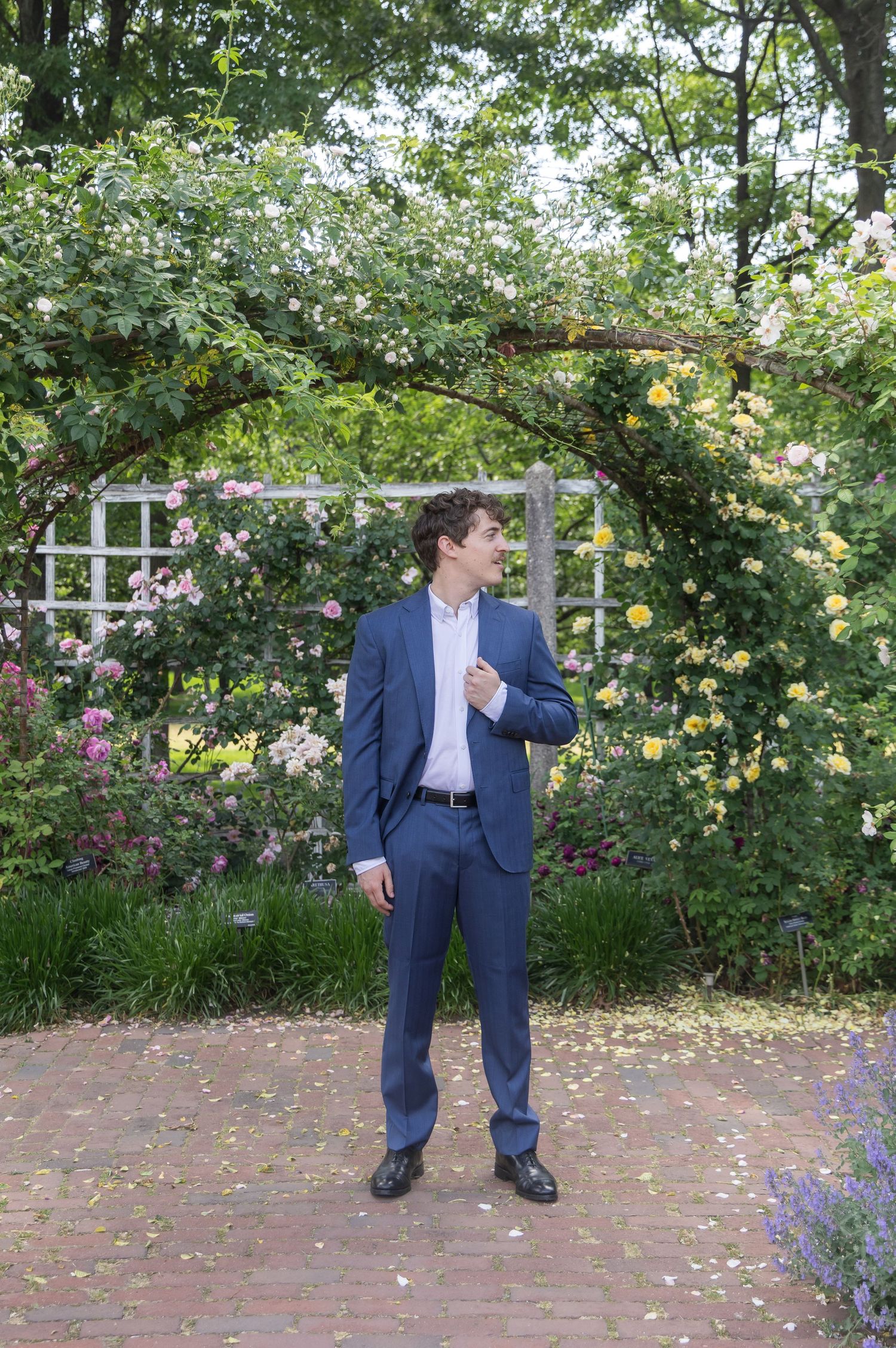 Young man in blue suit standing under floral arch in garden with colorful roses and lush greenery.