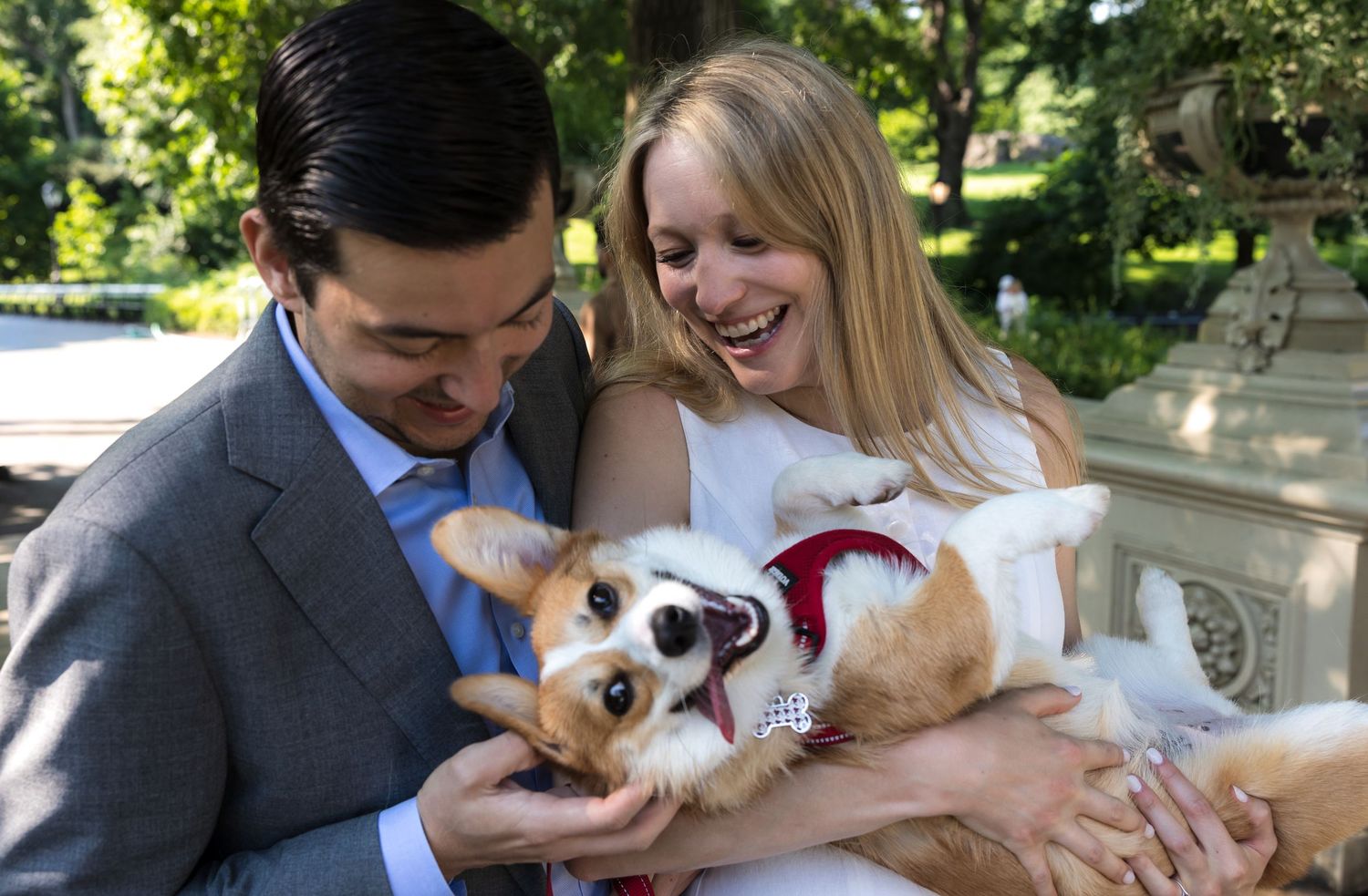 Smiling bride and groom in wedding attire joyfully holding an adorable corgi dog outdoors.