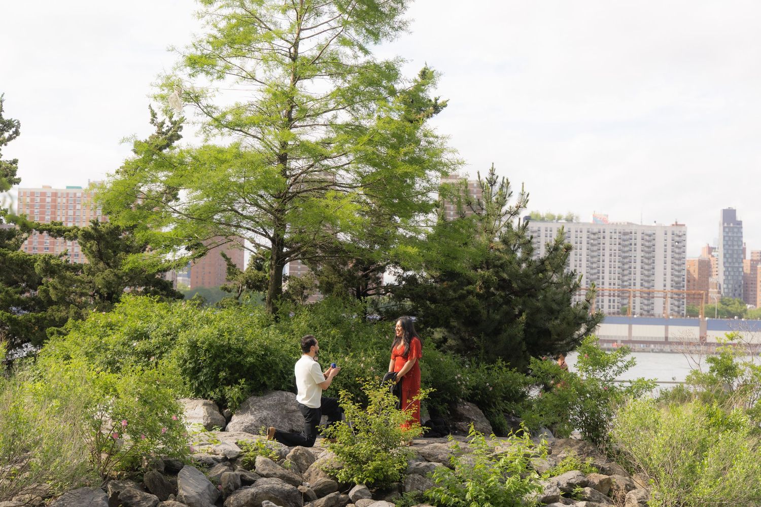 Man proposing to woman in red dress on rocky garden path with city skyline and river in background.