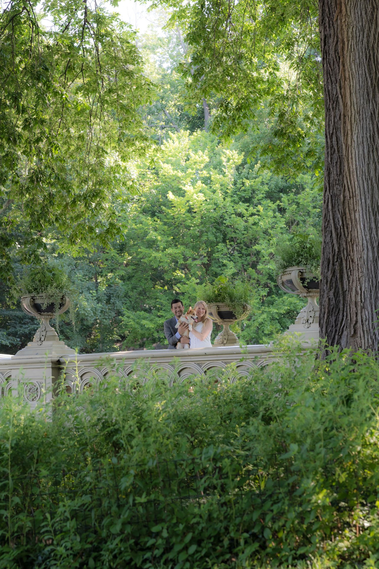 Couple in wedding attire posing on an ornate stone balustrade surrounded by lush green trees in a park.