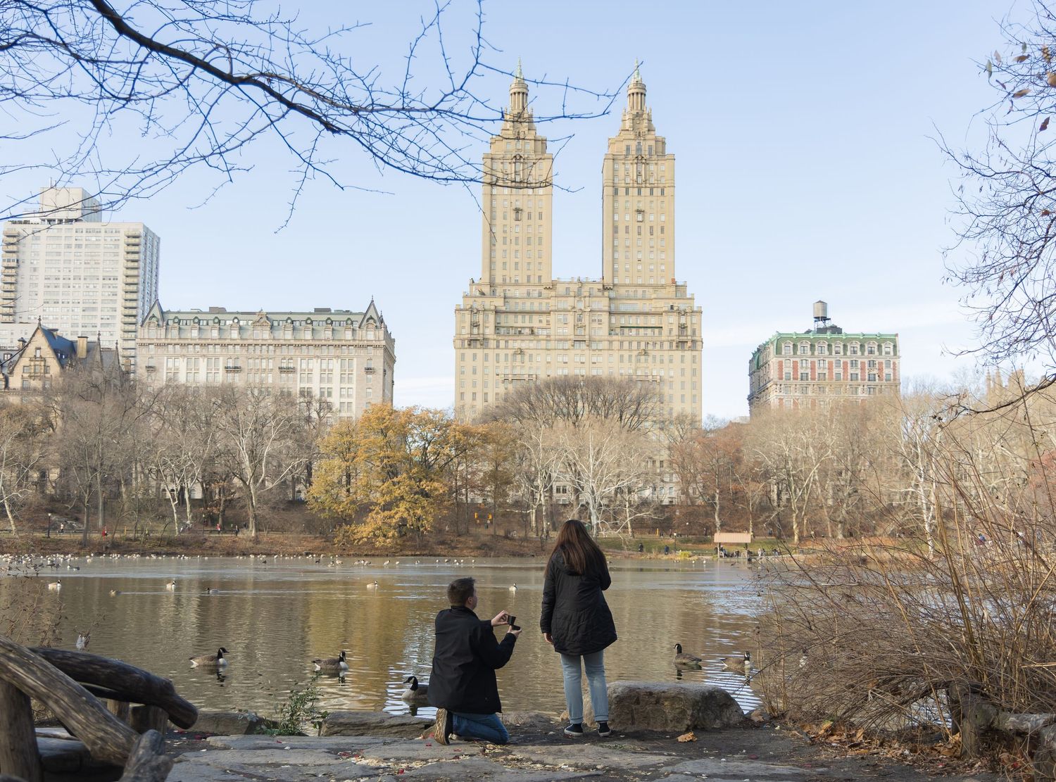 Two people feeding ducks by a lake in Central Park with the San Remo building visible in the background.