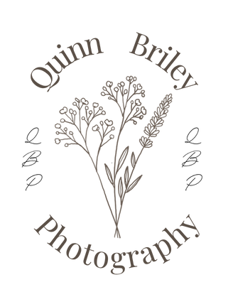 Elegant floral logo design for Quinn Briley Photography with delicate botanical elements.