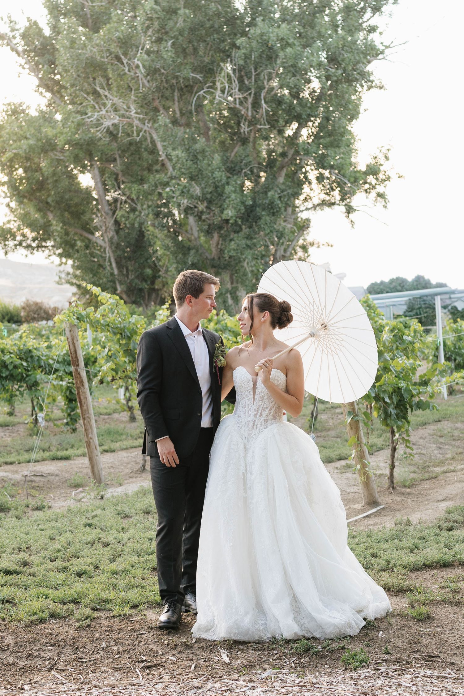 Bride and groom share a romantic moment in a vineyard, bride holding a white parasol in a flowing lace gown.