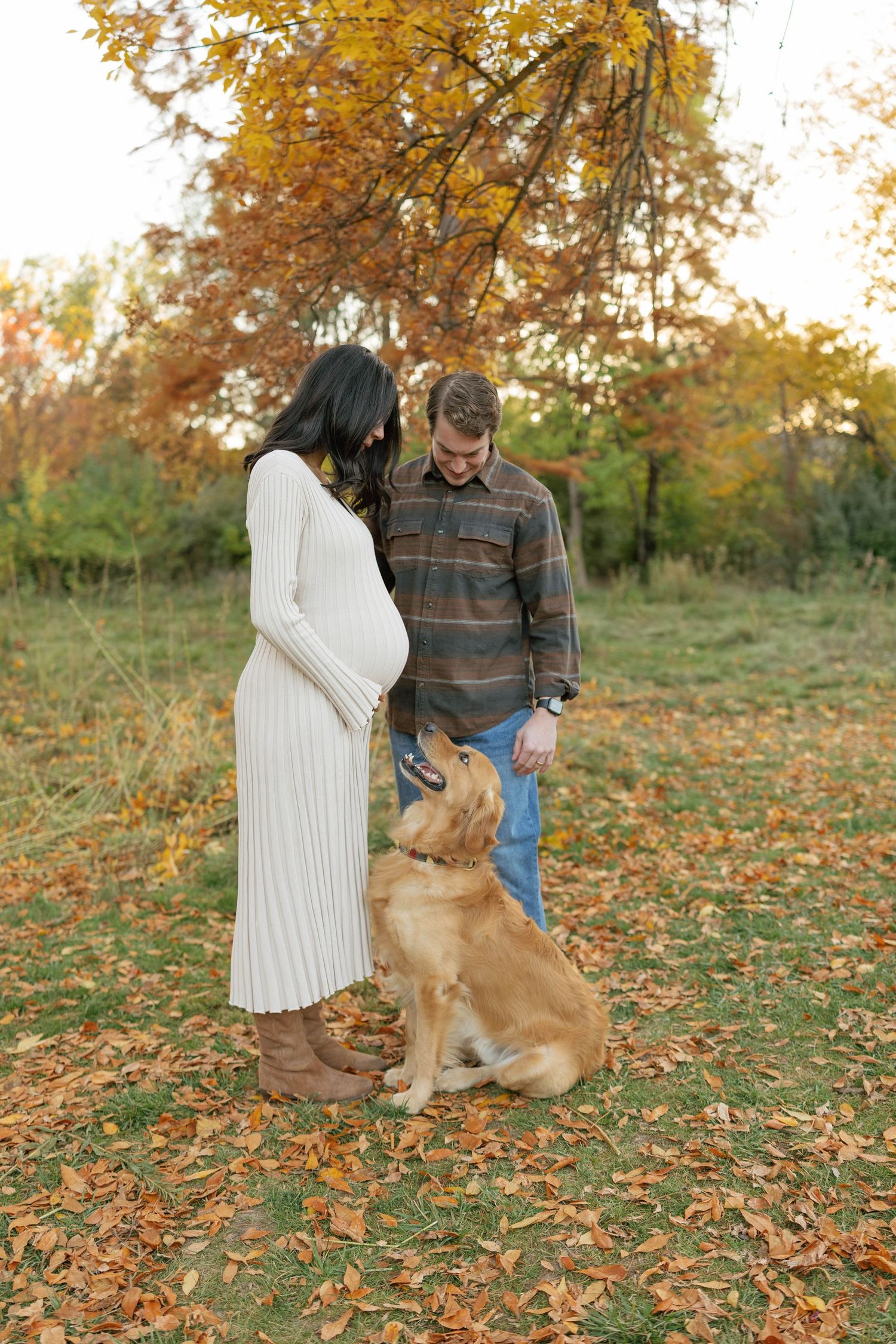Pregnant couple in autumn park with golden retriever dog, wearing white dress and plaid shirt among fall foliage.