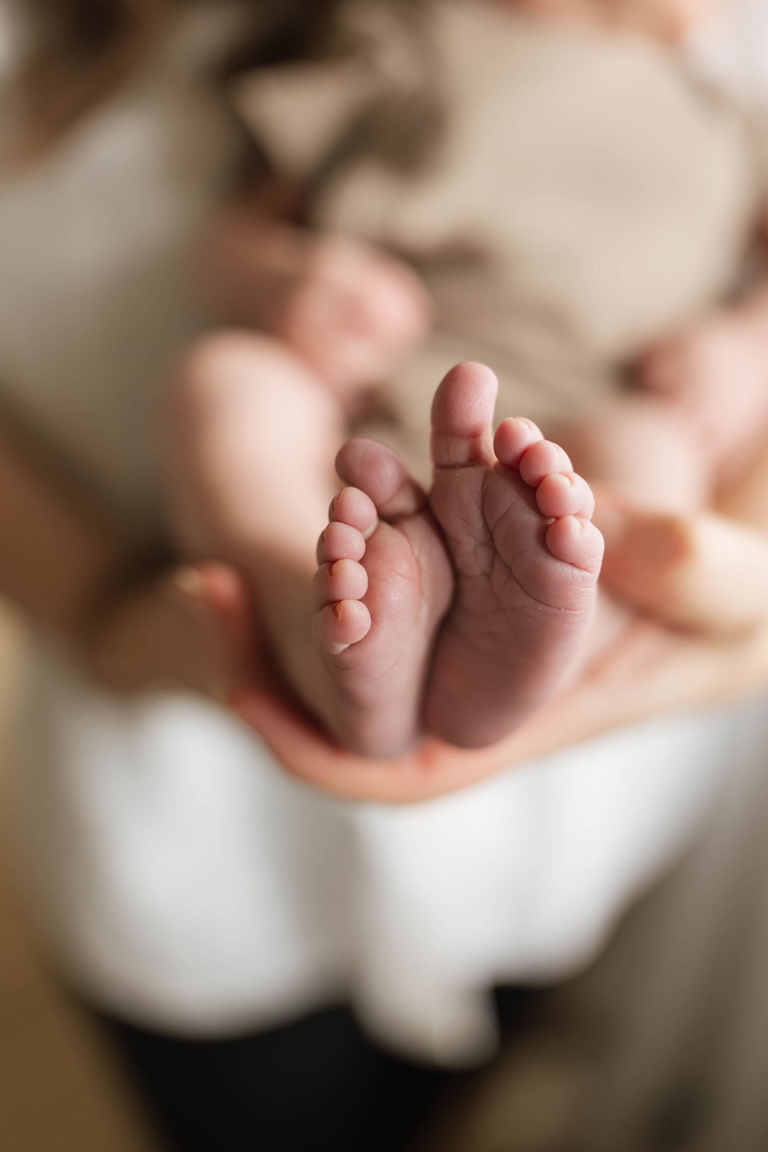 Close-up view of tiny newborn baby feet being gently cradled in adult hands.