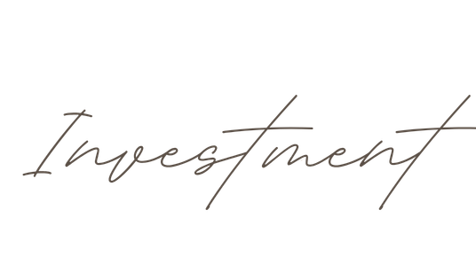 Elegant cursive handwritten word Investment in thin script font on white background.