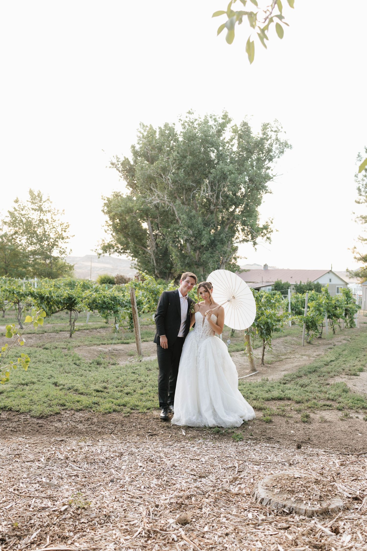 Bride in white gown holding parasol stands with groom in black suit among vineyard rows at outdoor wedding.