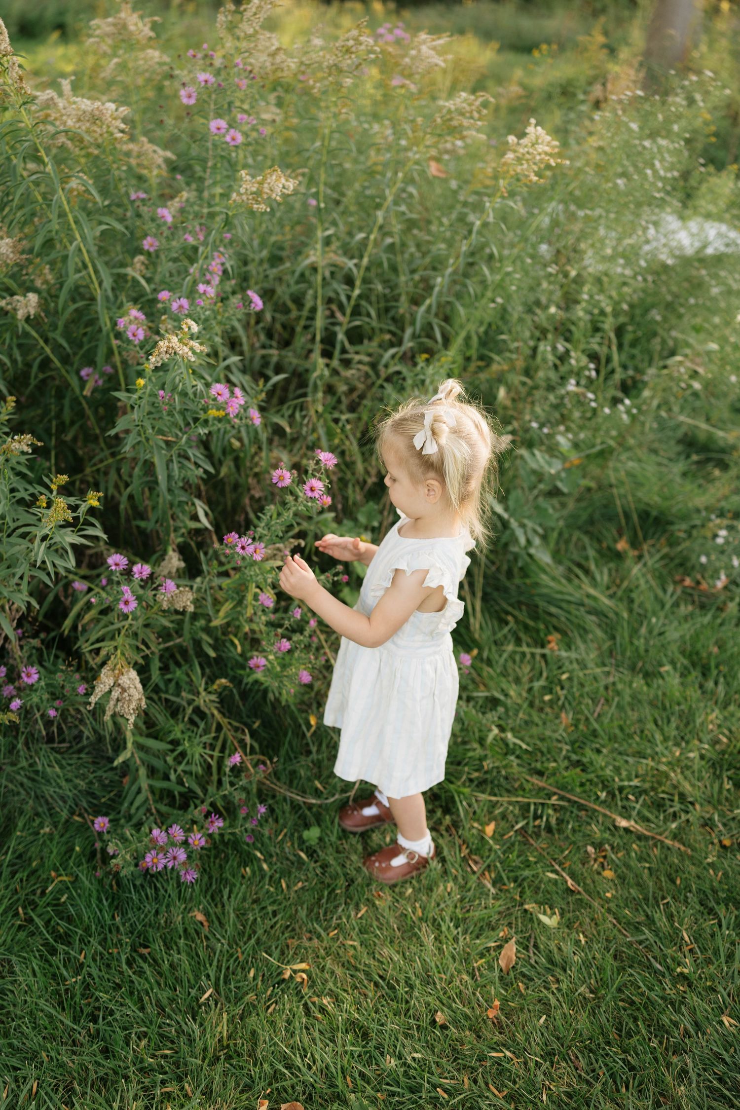 Toddler girl in a white dress and brown shoes reaches toward purple wildflowers in a sunny green meadow.