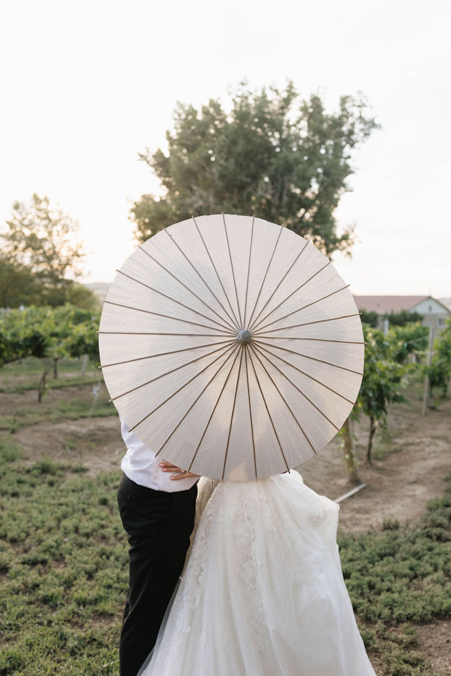 Bride and groom hiding behind a white parasol umbrella in a vineyard during their outdoor wedding ceremony.